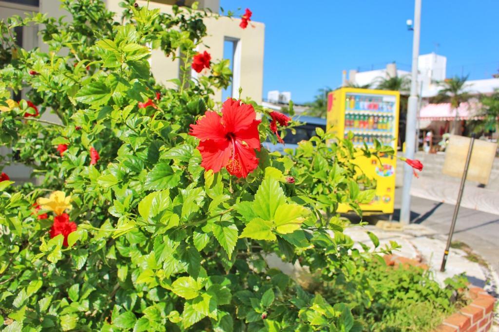 Guest House Route 6 Yomitan Dış mekan fotoğraf
